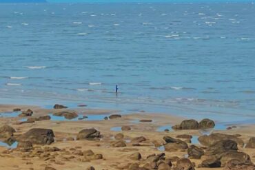 essential surf fishing rigs